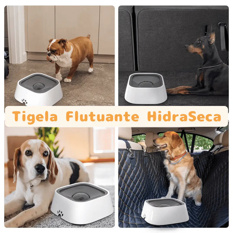 Bebedouro Tigela Flutuante HidraSeca™