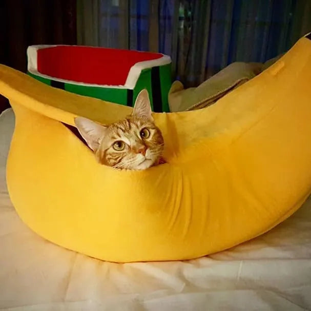 Cama Banana